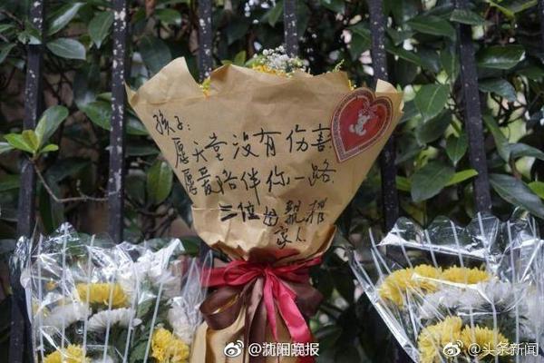 野山坡属于那个地区