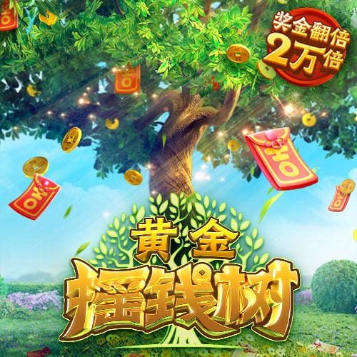 豆腐怎么炒啊